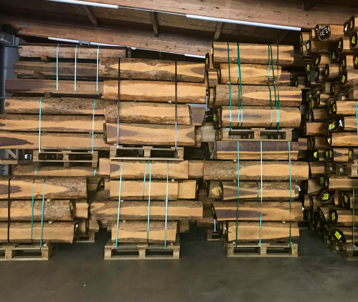 Lignum Vitae LLC: Growing Environmentally Safe Water-Lubricated ...